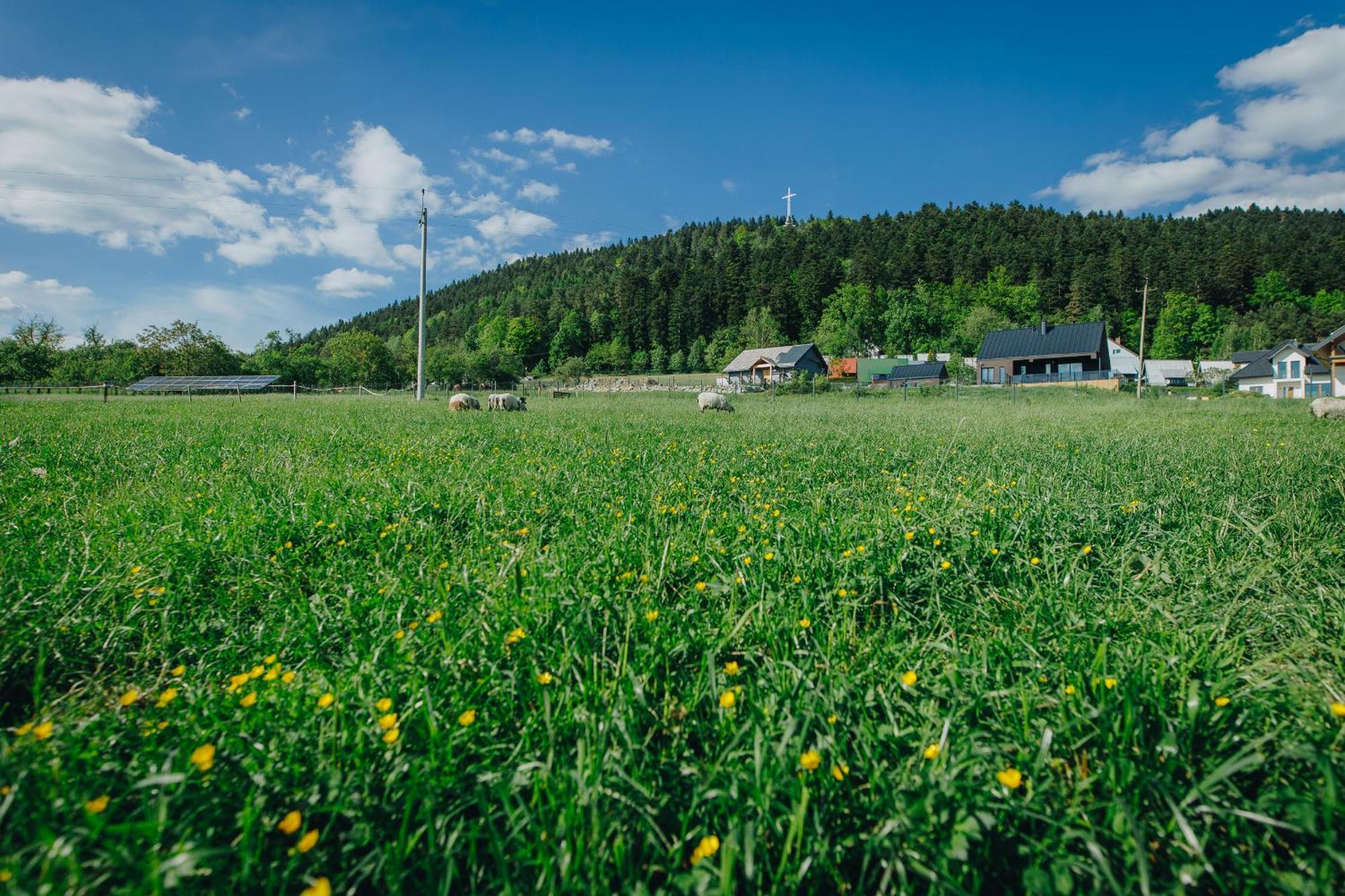 Apartamenty Lesna Limanowa Exterior photo